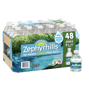 Zephyrhills Spring Water 8oz 48 pack