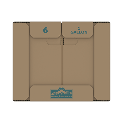 Zephyrhills - 1 gal 6 pack - left
